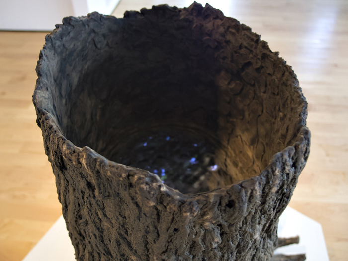 hollow tree series, Nurielle Stern